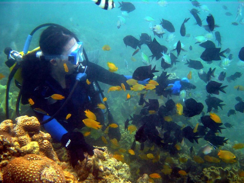 Paradise Island Park & Beach Resort Samal Luaran gambar