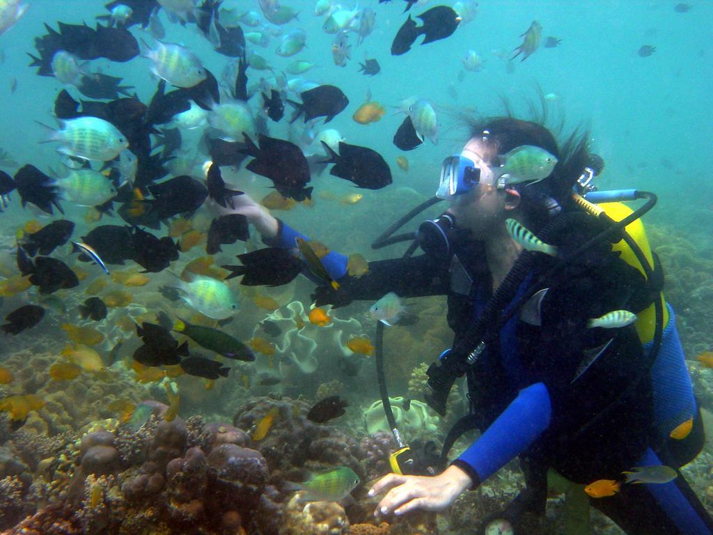 Paradise Island Park & Beach Resort Samal Luaran gambar